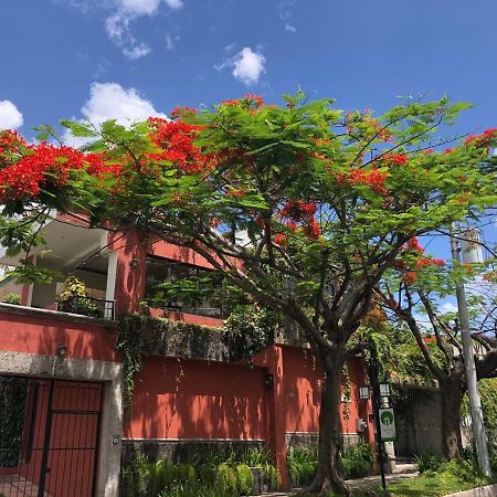 Hotel Arbol De Fuego Сан-Сальвадор Экстерьер фото