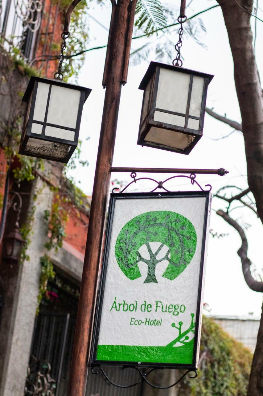 Hotel Arbol De Fuego Сан-Сальвадор Экстерьер фото