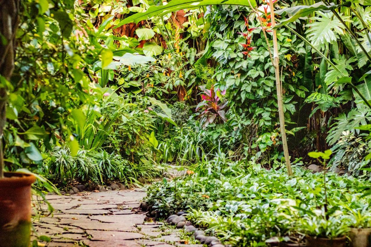 Hotel Arbol De Fuego Сан-Сальвадор Экстерьер фото